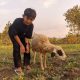 Perjalanan ke Hutan Larangan