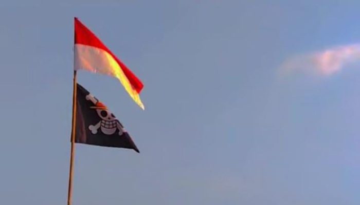 Mugiwara di Bawah Sang Saka