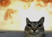 Pahlawan Tanpa Mahkota