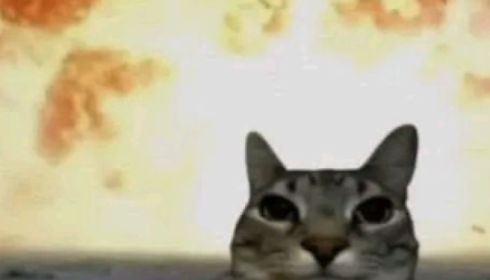 Pahlawan Tanpa Mahkota