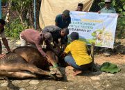 PCM Sambong Gelar Sholat Idul Adha 1447 H dan Terima Bantuan Sapi Kurban dari Mendikdasmen