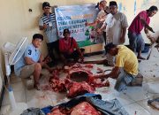 Kemendikdasmen Tebar Qurban hingga Pelosok Negeri