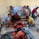 Kemendikdasmen Tebar Qurban hingga Pelosok Negeri