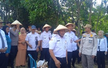 DPW dan DPD SWI Hadiri Panen Raya Boyolali